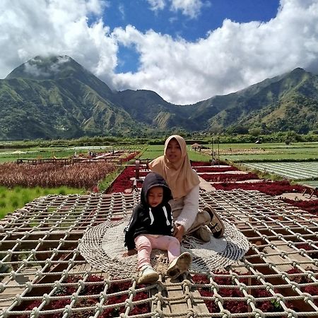 Tatasya Homestay Senaru Exteriér fotografie