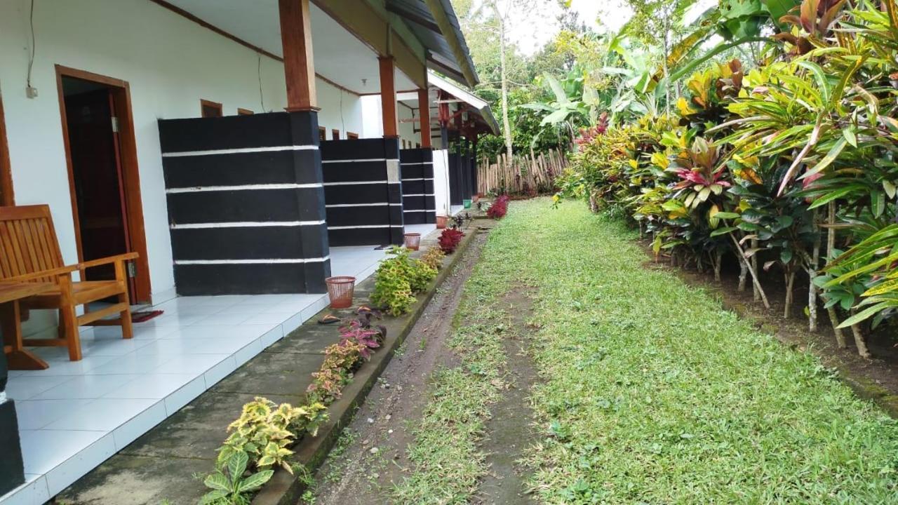 Tatasya Homestay Senaru Exteriér fotografie