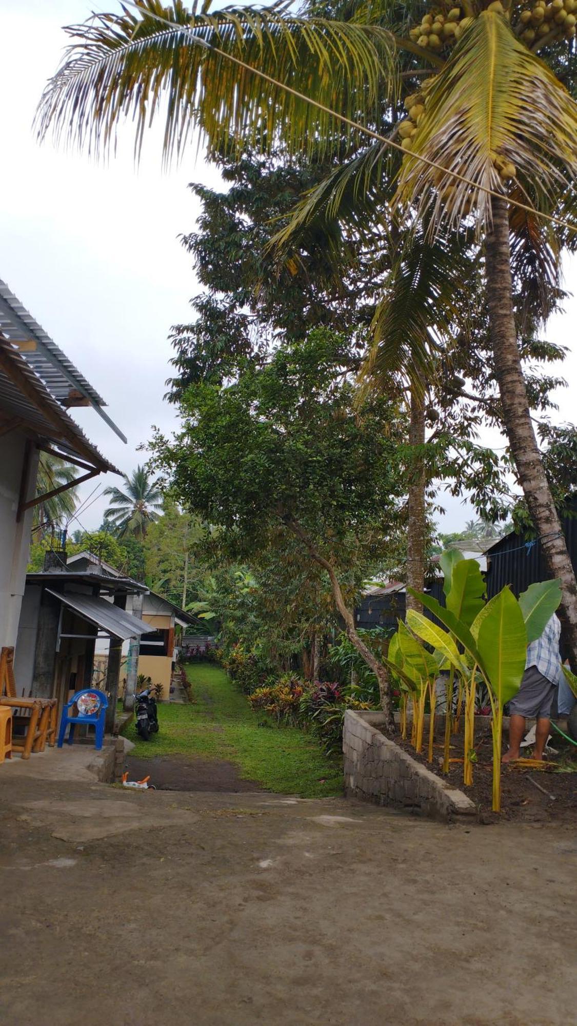 Tatasya Homestay Senaru Exteriér fotografie